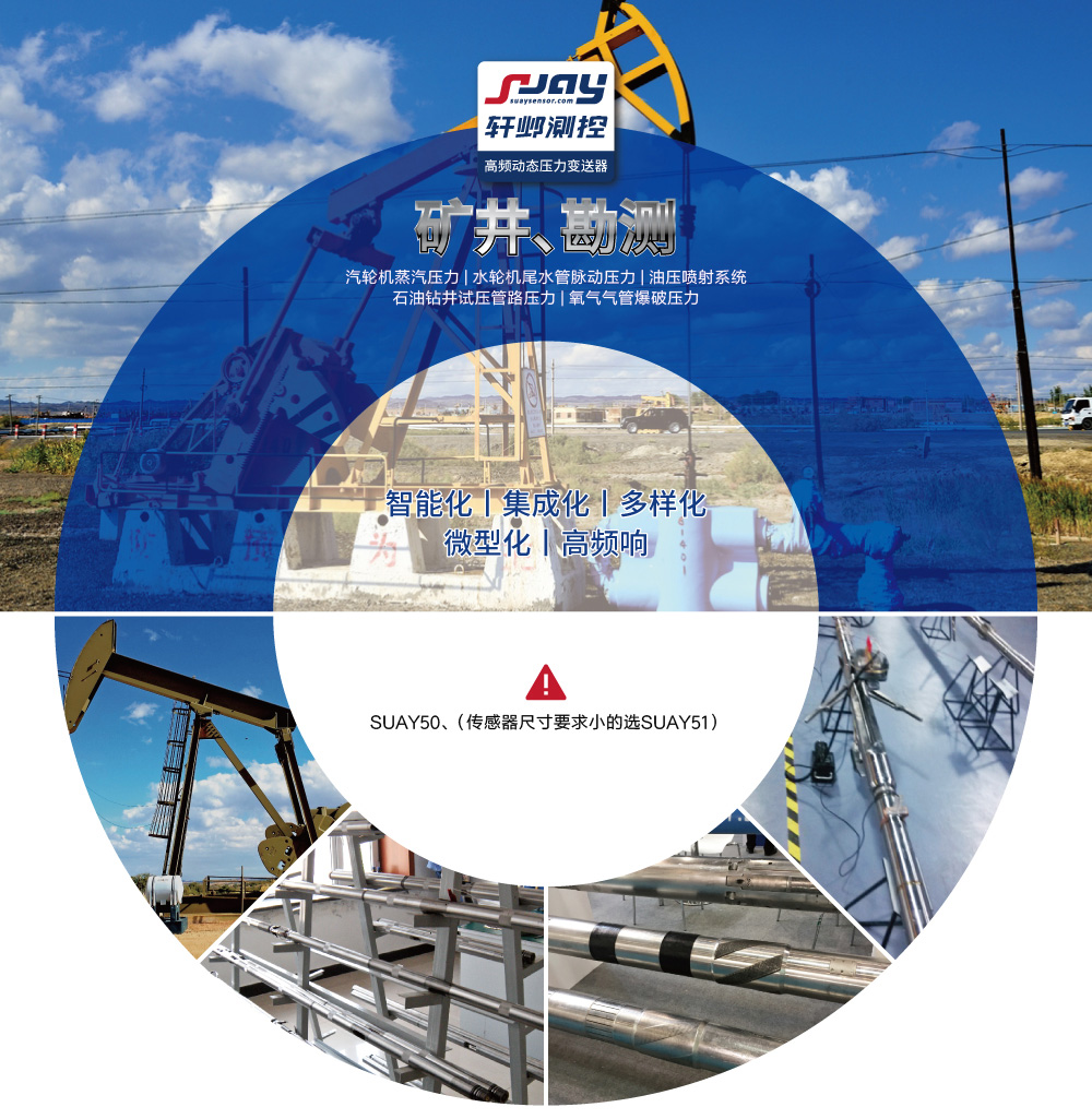 矿井勘测(汽轮机蒸汽、水轮机尾水管脉动、油压喷射系统)